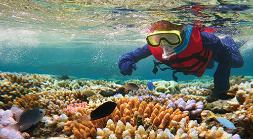 Mission-Water-GBR-Diver-in-Reef.jpg